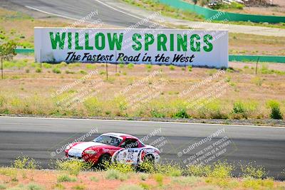 media/May-05-2024-Lucky Dog Racing (Sun) [[8a365fce5b]]/1030am-Turn 3/